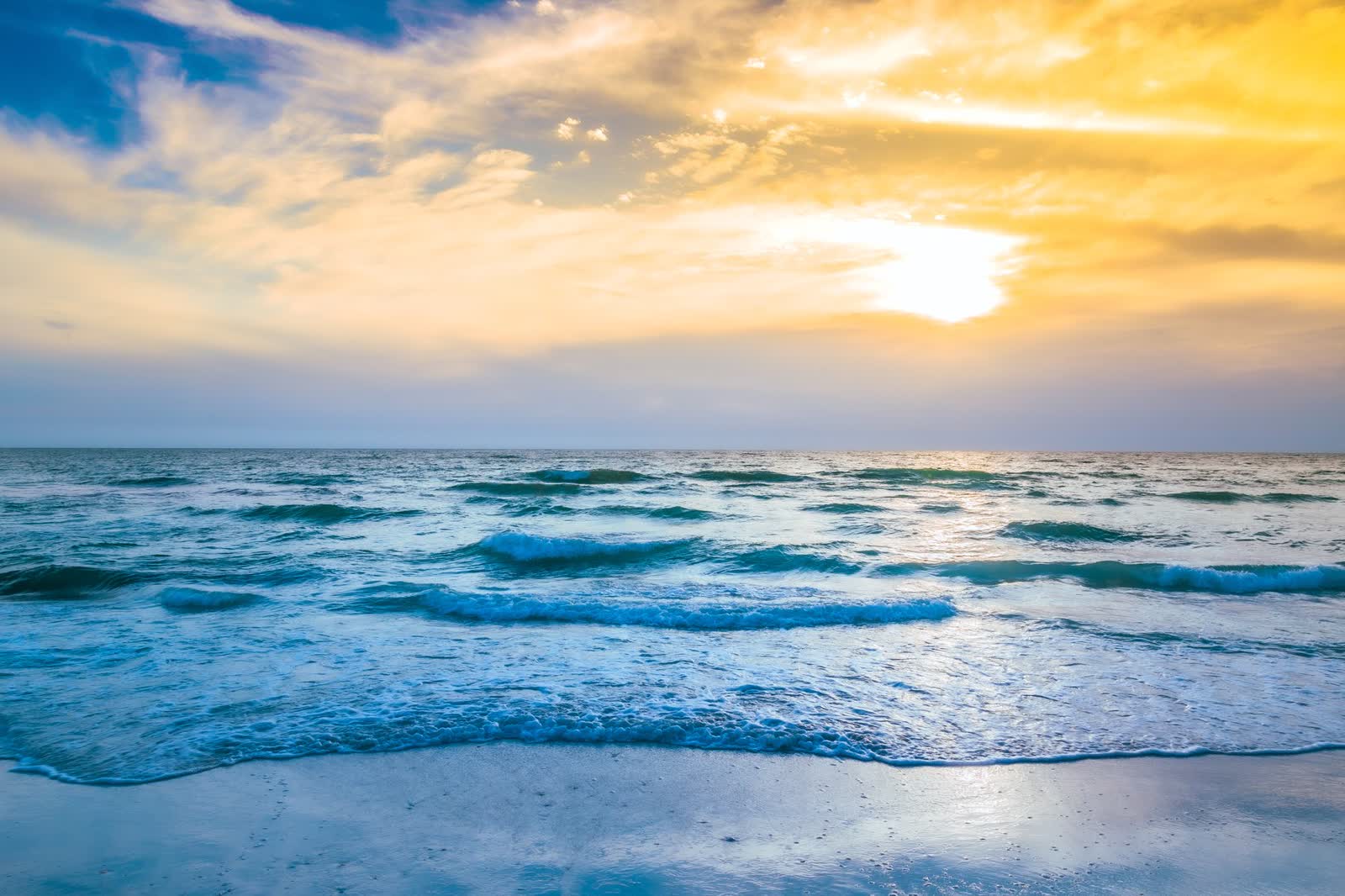 Phentermine in Sarasota–Bradenton