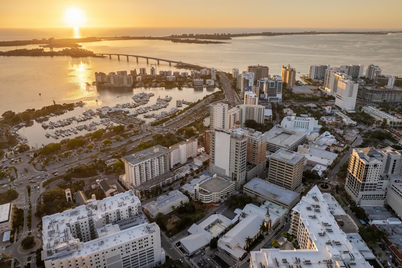 Knee Replacement in Sarasota–Bradenton